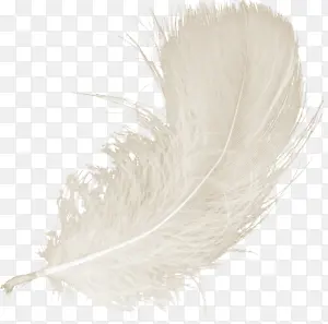 ��ɫ����ë-������