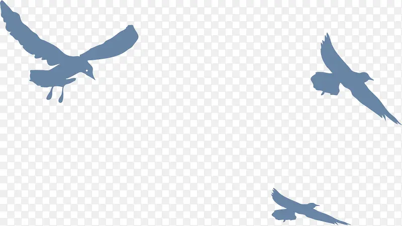 �����Ӱ-������