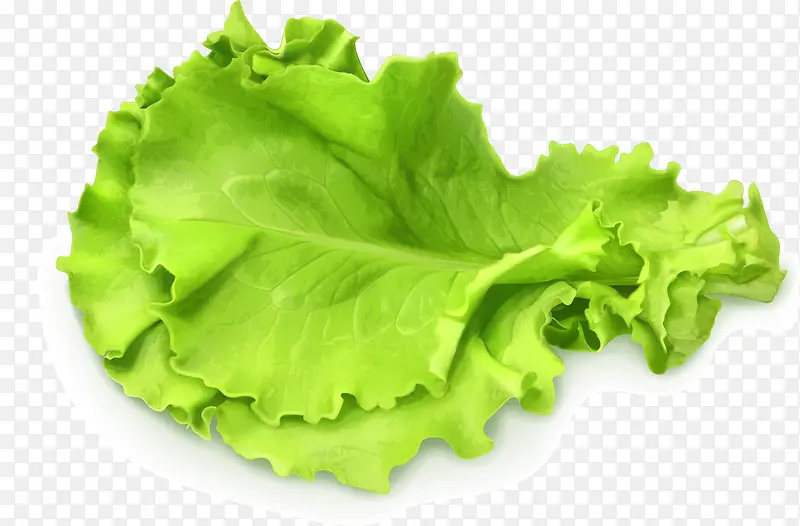 ����ʸ���߲�-������