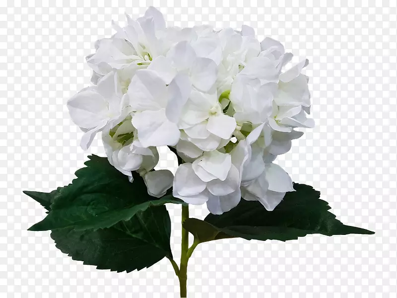 �л������˹�����-����-������