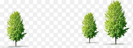 �������չ�԰С��-������