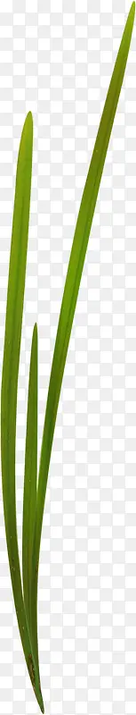 �Ӳ�װ���ز�-������