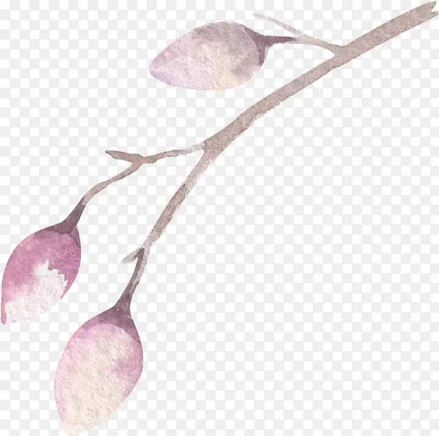 ˮ�� ��ֲ�� ����-������