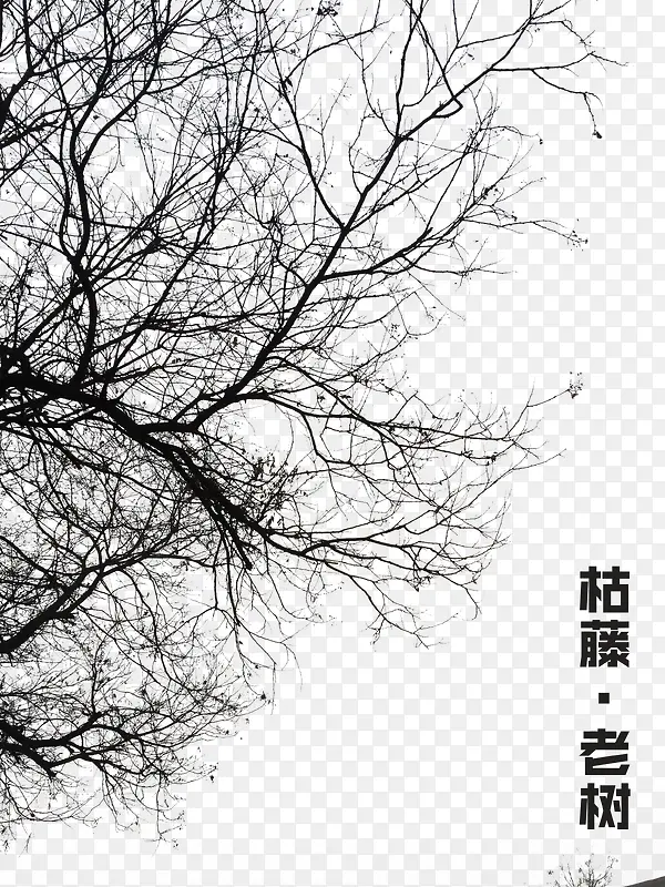 ����-������