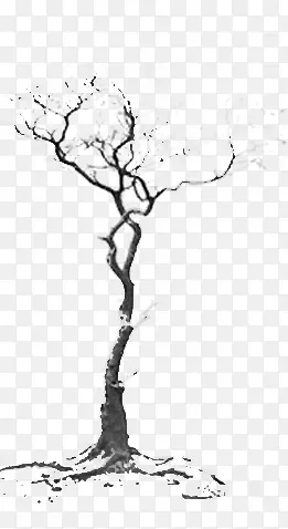 ����-������