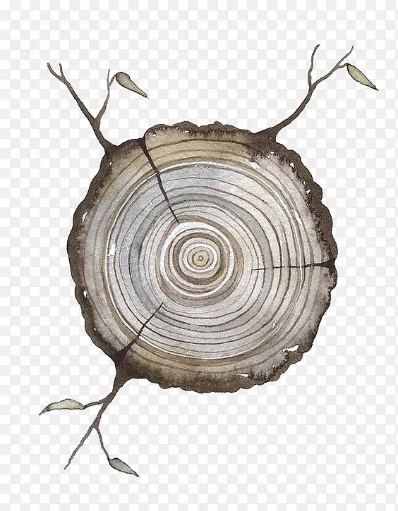 ����-������