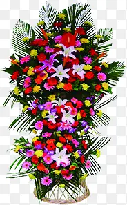 ��ɫ����������-������