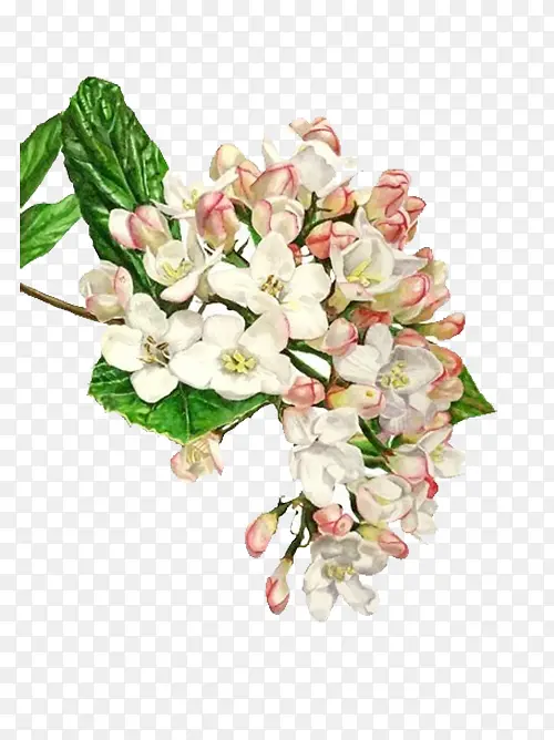 ��ɫ����-������