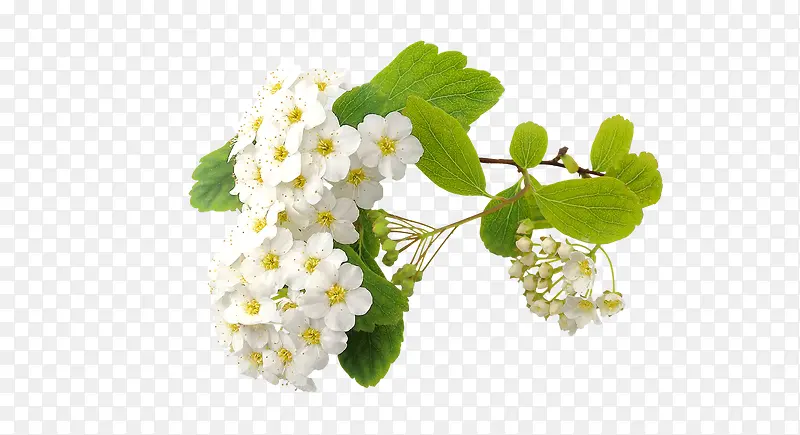 ��ɫ����-������