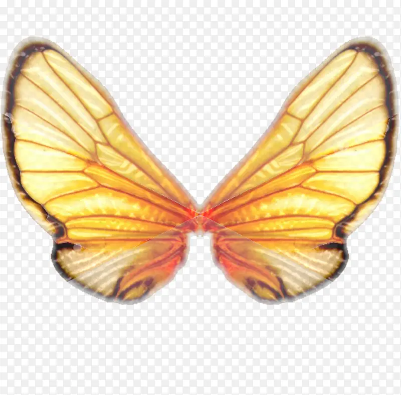 ��ëƮ��ʸ����ë-������