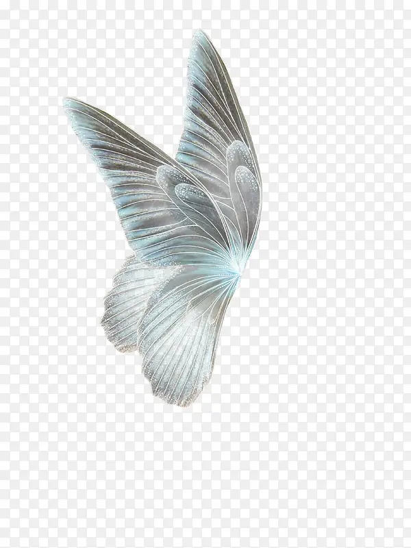 ������ͨ �λó��-������