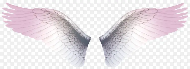 ��ɫ���-������