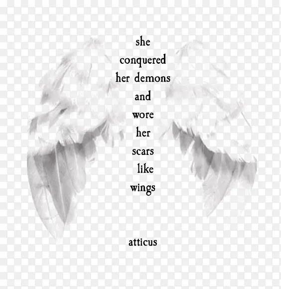 ��ɫ����-������