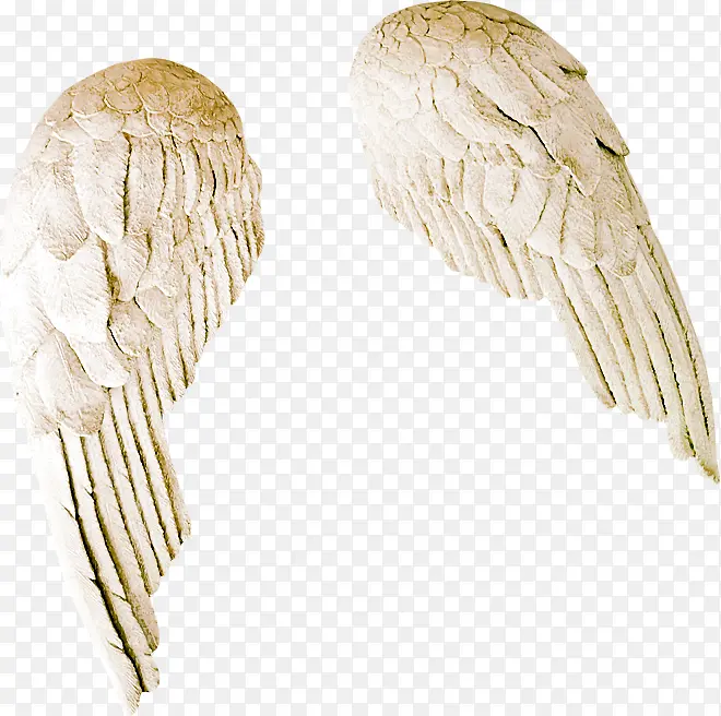 �ٳ��-������