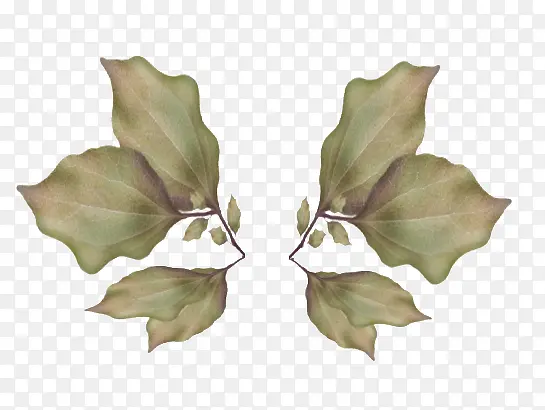 ʸ����ë��ɫ-������