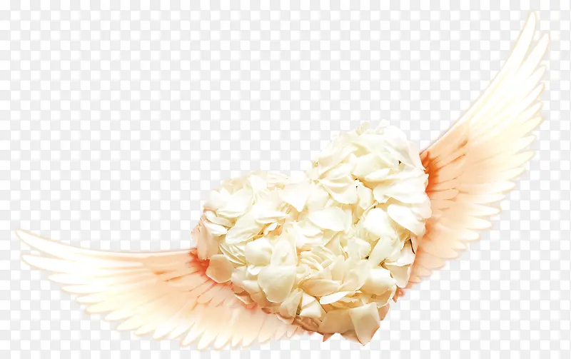 �����İ�ɫõ�廨�������-������