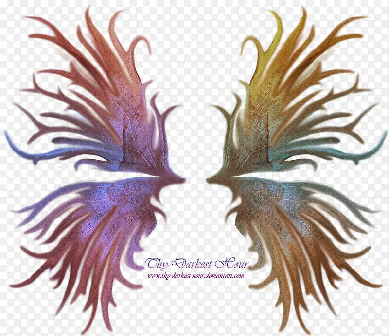 ��ͨ������ͼƬ װ�γ��-������