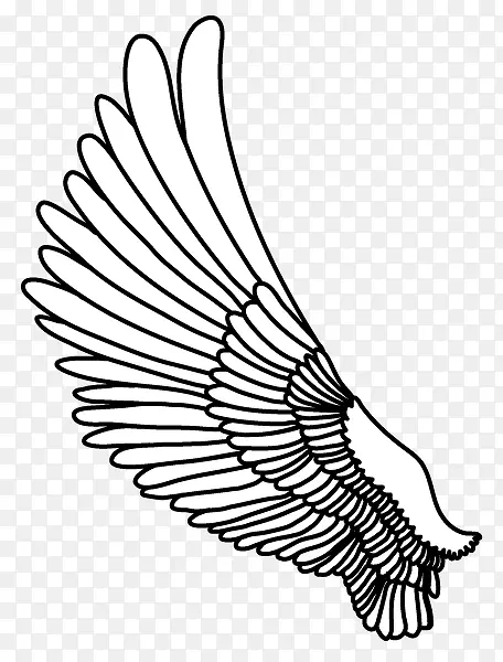 ���ͨ ��ͨ�ֻ���-������