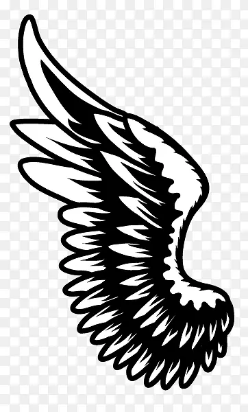 ��ë�زĳ��ͼƬ ��ͨ�ֻ���-������