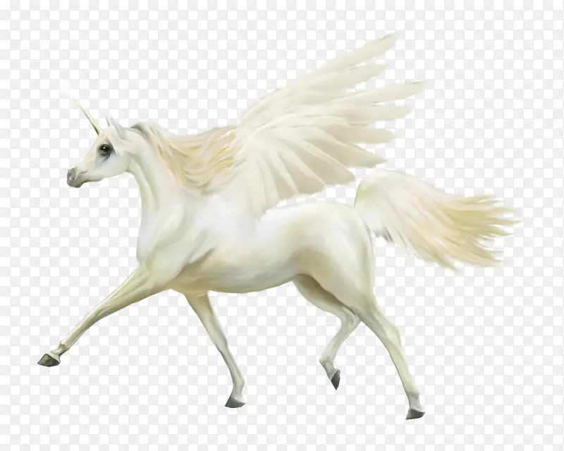 ��ɫ�����С��-������