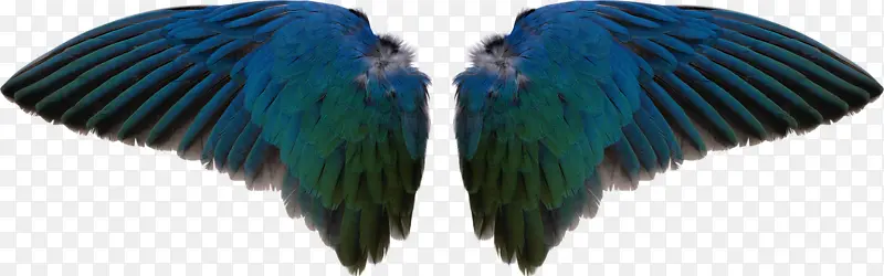 ��ħ���-������