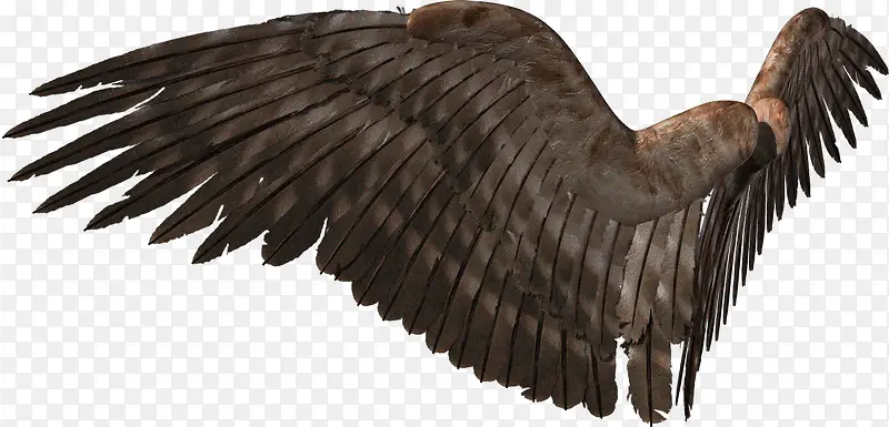 ��ħ���-������