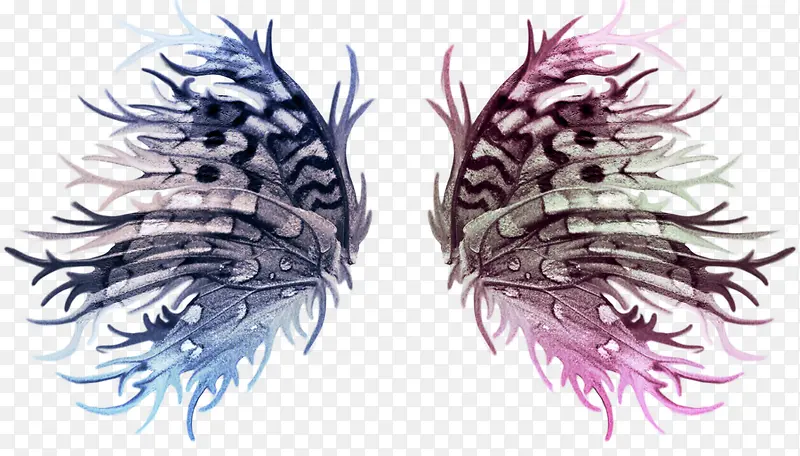 Ѥ����ɫ���-������