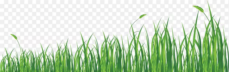 ������-��-������