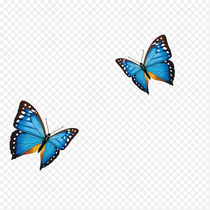 ����ĺ���-������