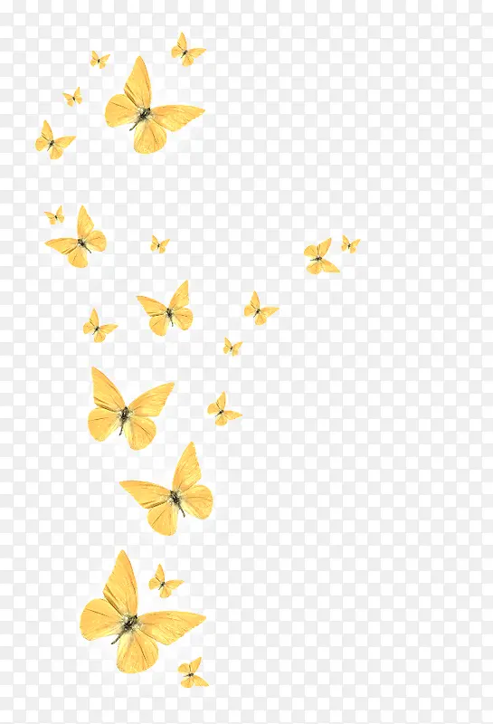 ��ɫ����ĺ���-������