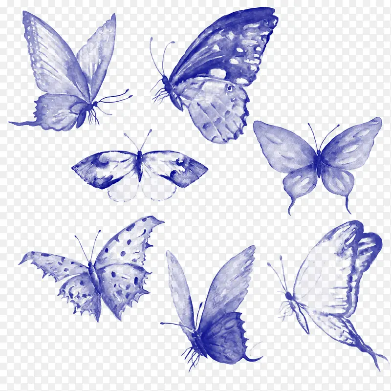 ����ĺ���-������