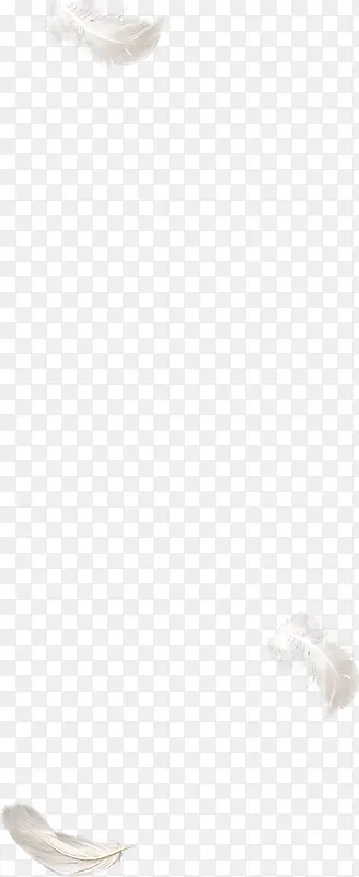 ���͸����ɫ��ë-������