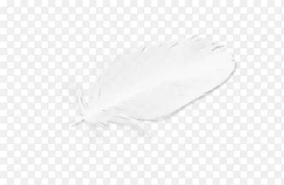 ��ɫ��ë͸��-������