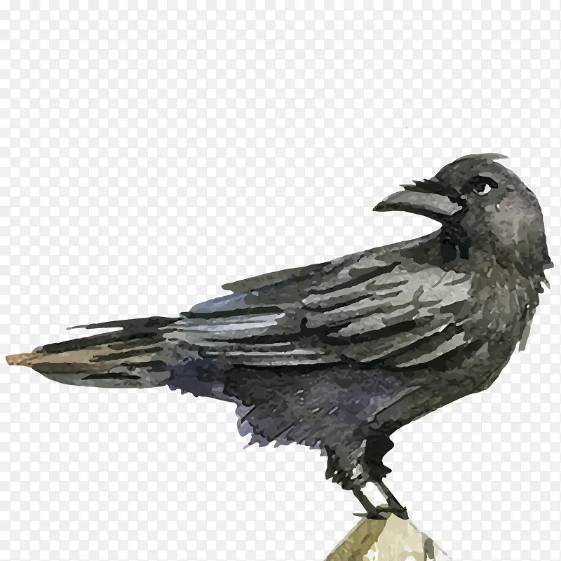 ʸ������ѻ-������