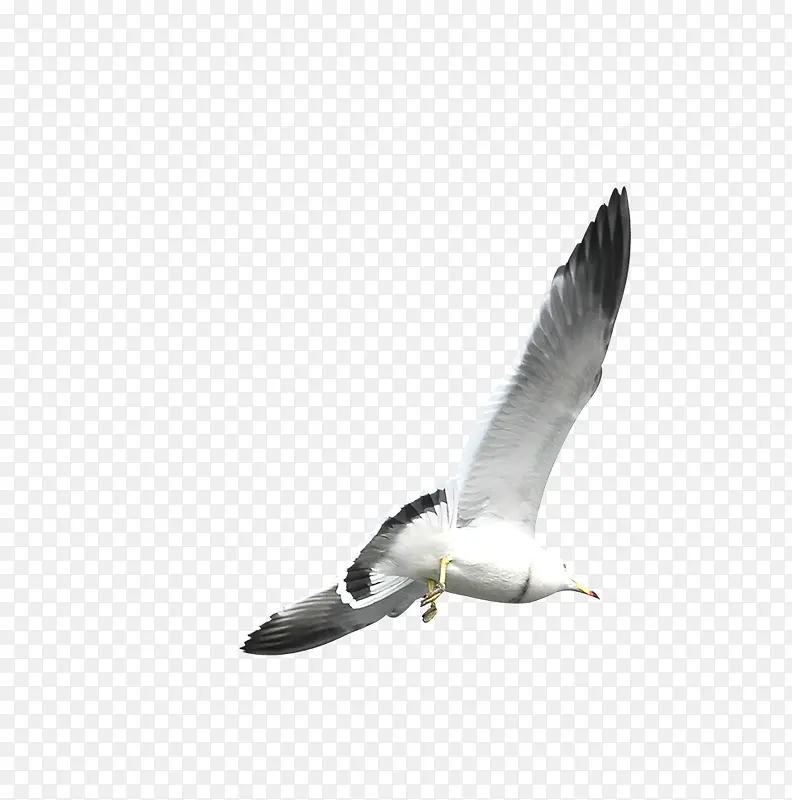 Ψ���������������-������