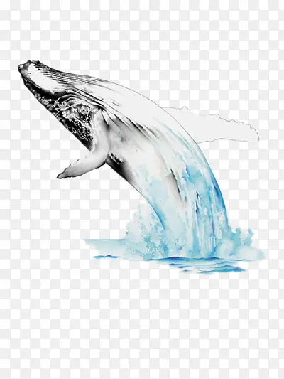 �廭-������