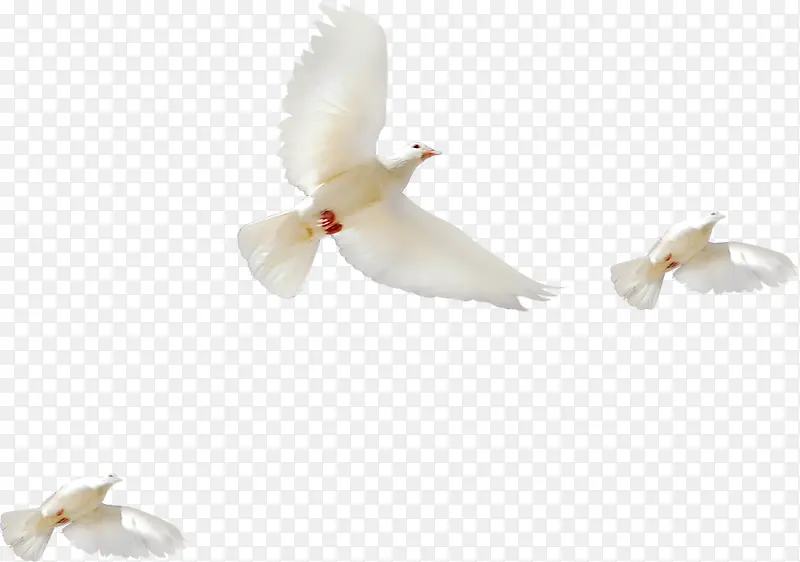 ������Ӱ��ƽ�뺣��-������