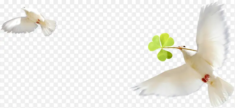 ��ɫ����-������