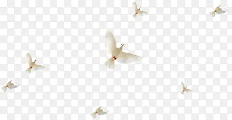 ������Ӱ��ɫ��ƽ��Ч��ʸ��ͼ-������