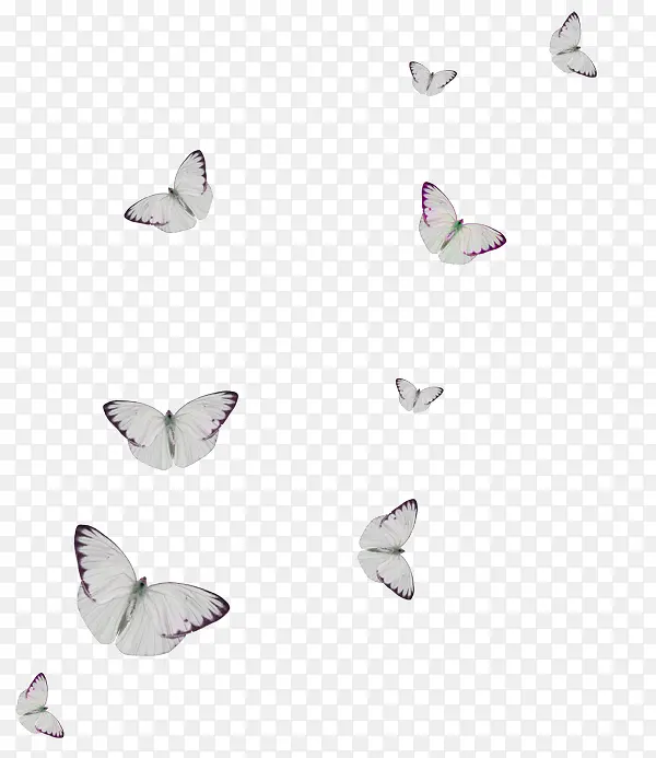 ��Ⱥ����-������