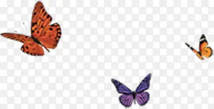 ��Ⱥ�����ɫ����-������