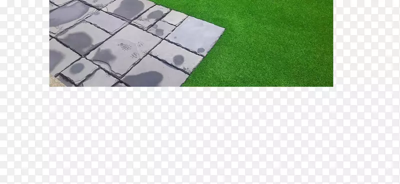 �ذ���������-��ƺ-������