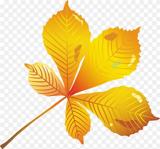 �����Ҷ��ʸ�����Ч���ز�-������