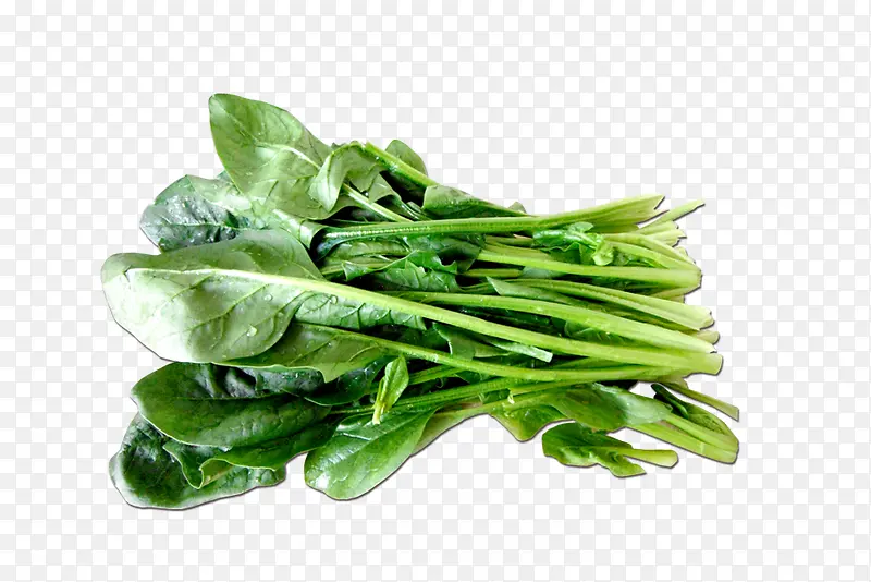 ����С����Ҷ��-������