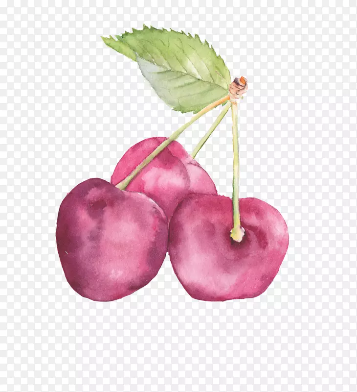 �¸���˹ˮ�ʻ������滭-ӣ��-������