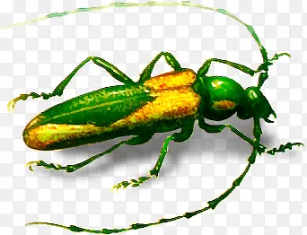 �����ֻ����-������