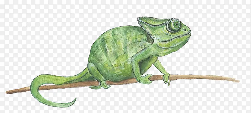 ľ���ϵ��ֻ涯��-������