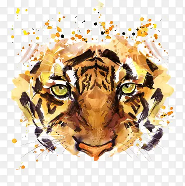 �����ϻ�ˮ�ʻ�����ز�-������