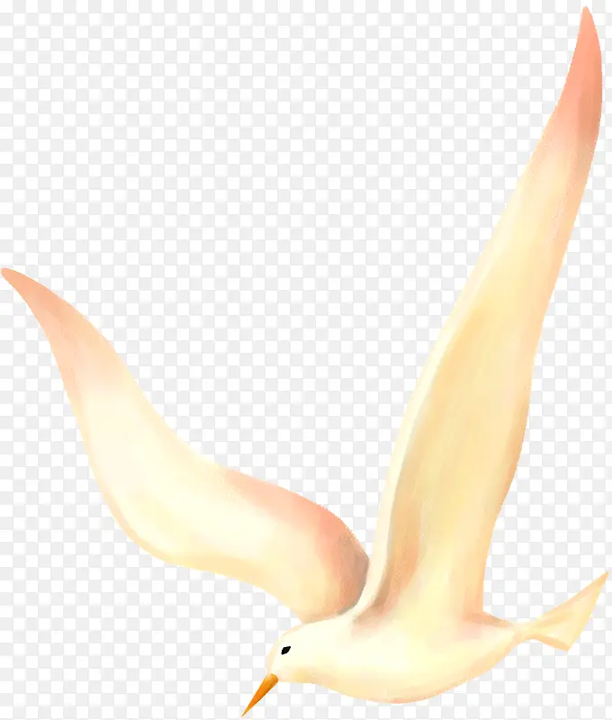 ��������ֻ����ĺ�Ÿ���-������