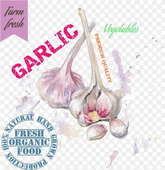 �����߲˻滭���ʸ���ز�-������